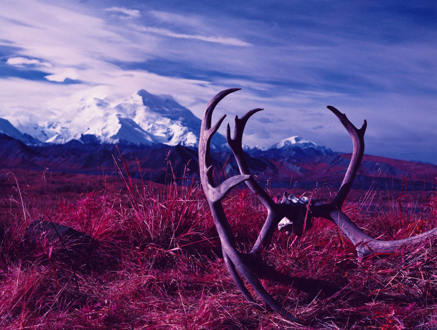 Aslaskan rack