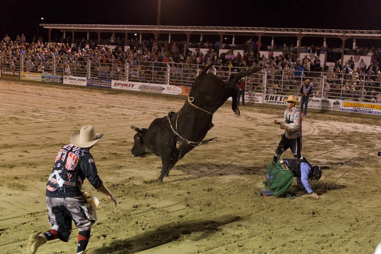 bull kick