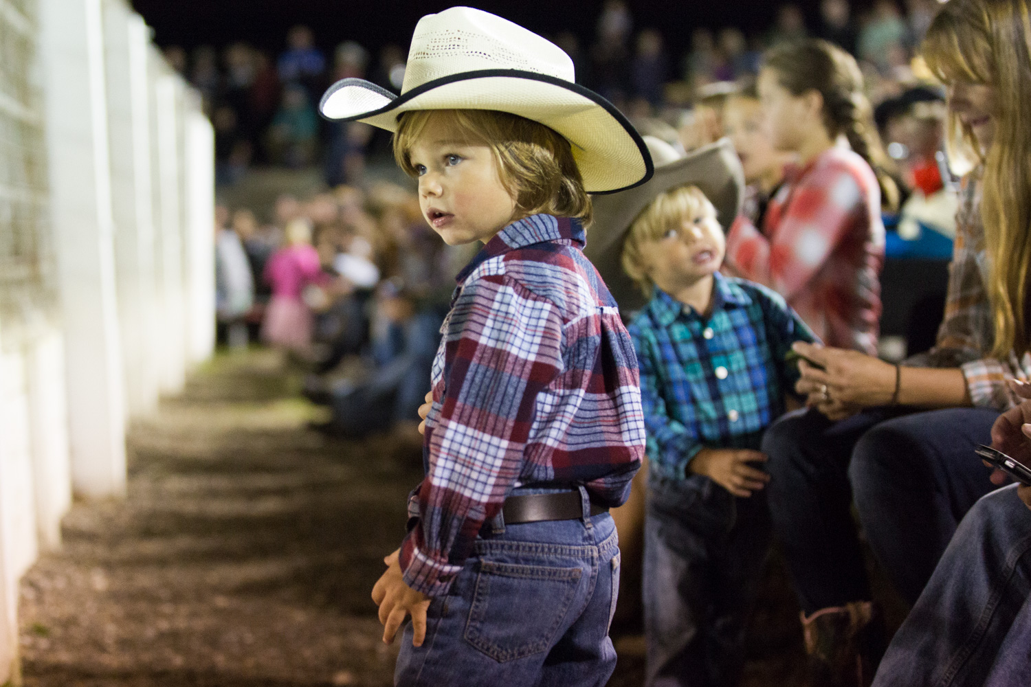 fans at the rodeo