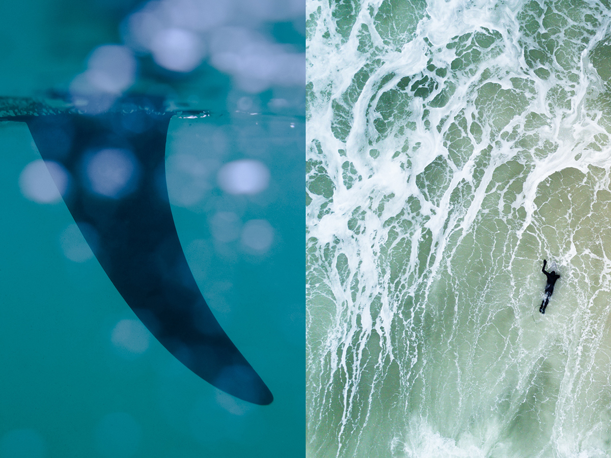 underwater fin aerial surfer