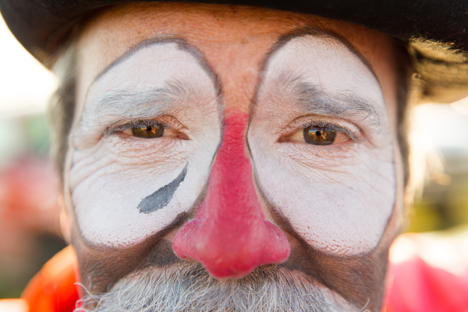 portrait of rodeo clown