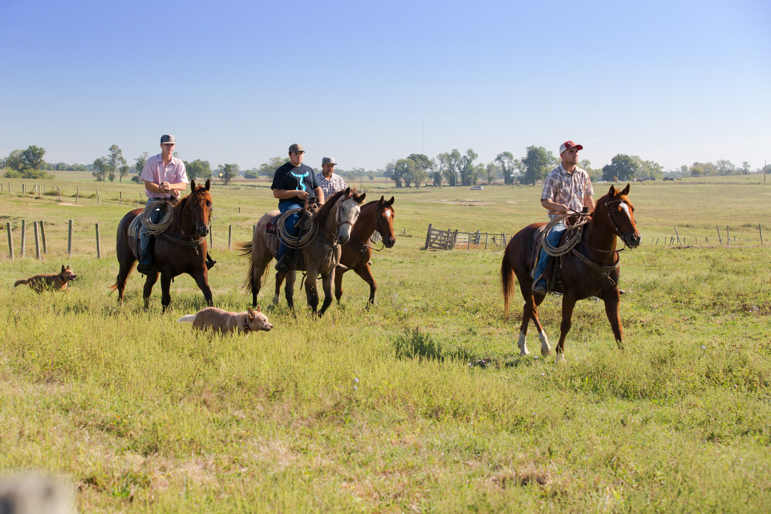 round up