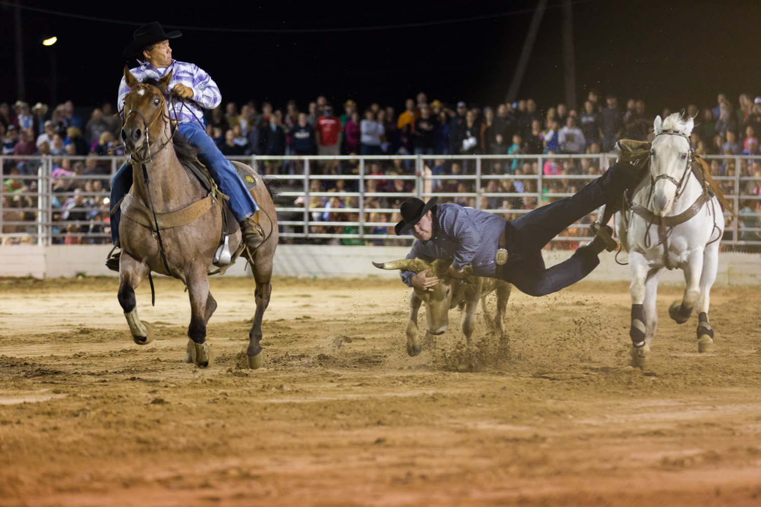 steer wrestling