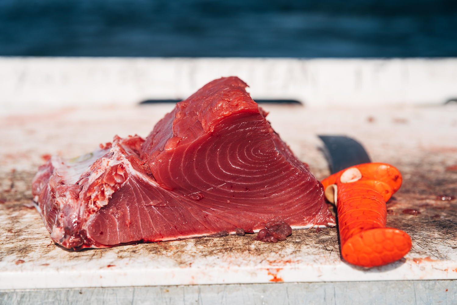 tunasteak
